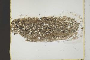 Plane Polarized, S40688