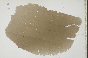 Plane Polarized, S40691