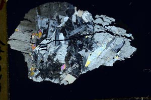 Cross Polarized, S40705