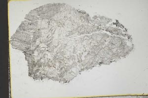 Plane Polarized, S40705