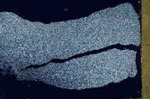 Cross Polarized, S40729