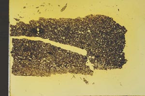Plane Polarized, S40732