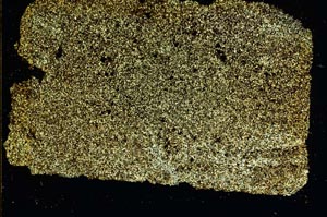 Cross Polarized, S40733