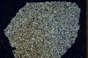 Cross Polarized, S40749