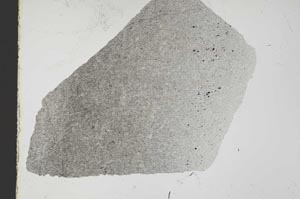 Plane Polarized, S40751