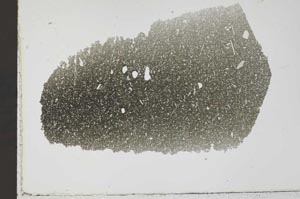 Plane Polarized, S40756