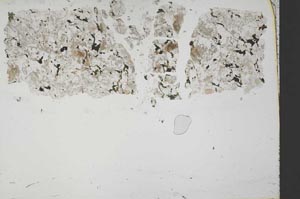Plane Polarized, S40796