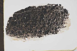 Plane Polarized, S40852