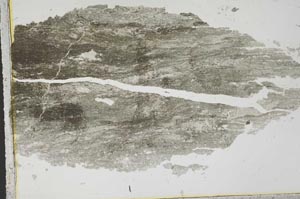 Plane Polarized, S40860