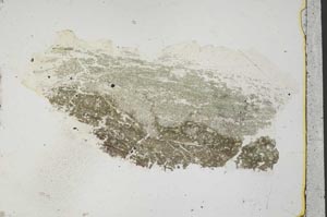 Plane Polarized, S40861