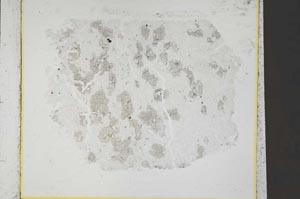 Plane Polarized, S40864