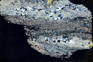 Cross Polarized, S40874