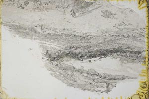 Plane Polarized, S40874