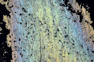 Cross Polarized, S40874/A