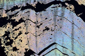 Cross Polarized, S40874/B