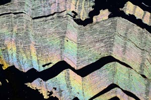 Cross Polarized, S40874/C