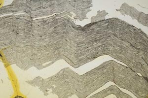 Plane Polarized, S40874/C