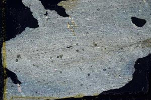 Cross Polarized, S40875