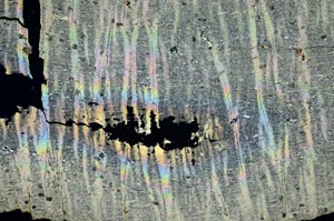 Cross Polarized, S40875/A