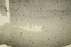 Plane Polarized, S40875/A