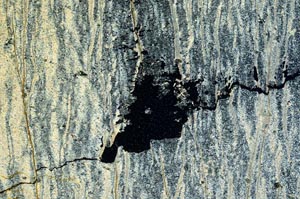 Cross Polarized, S40875/B