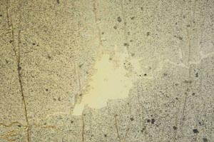 Plane Polarized, S40875/B