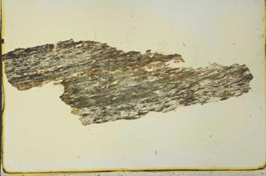 Plane Polarized, S40931