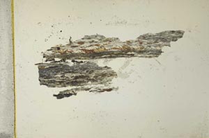 Plane Polarized, S40931/B