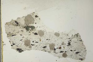Plane Polarized, S40933