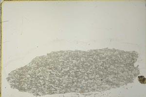 Plane Polarized, S40937