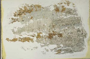 Plane Polarized, S40943