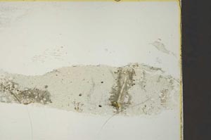 Plane Polarized, S40965