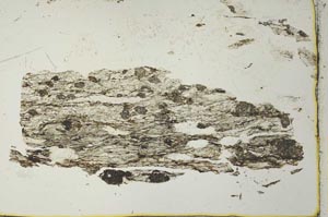 Plane Polarized, S40966