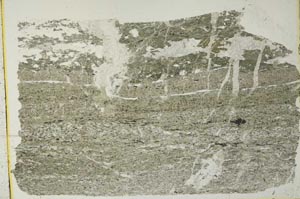 Plane Polarized, S40968
