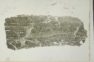 Plane Polarized, S40968/A