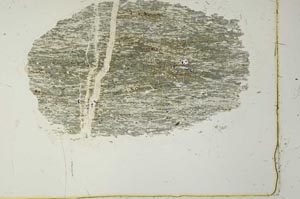 Plane Polarized, S40969
