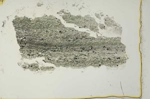Plane Polarized, S40970