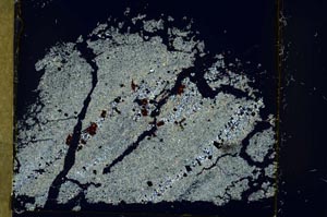 Cross Polarized, S40972/A