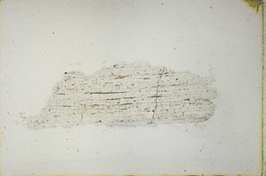 Plane Polarized, S40981