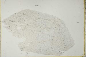Plane Polarized, S40985