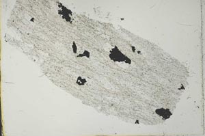 Plane Polarized, S40986