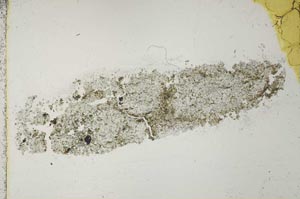 Plane Polarized, S40988