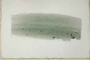 Plane Polarized, S40990