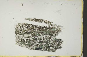 Plane Polarized, S40991