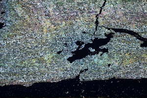 Cross Polarized, S40994