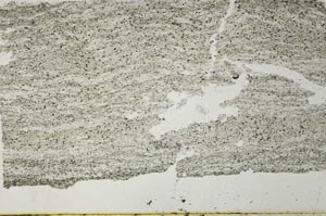 Plane Polarized, S40994