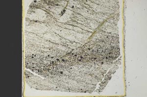 Plane Polarized, S41003