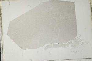 Plane Polarized, S41010