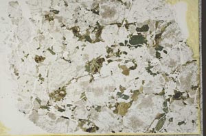 Plane Polarized, S41016