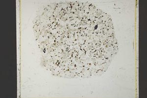 Plane Polarized, S41025